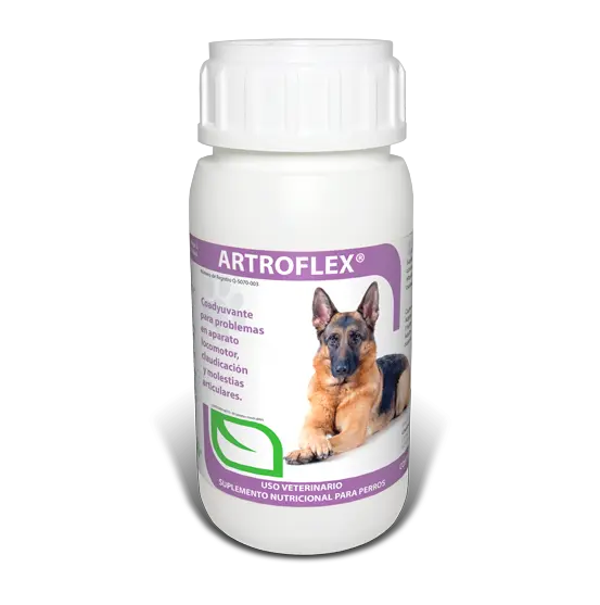 Artroflex® Tabletas Masticables para Perros – Suplemento Articular con Glucosamina y Condroitina | Ruiland