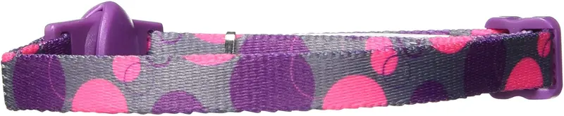 Aspen Pet collar de retención de moda