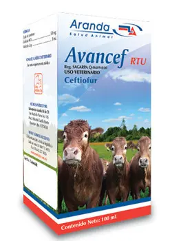 Avancef RTU Inyectable Frasco con 250 ml