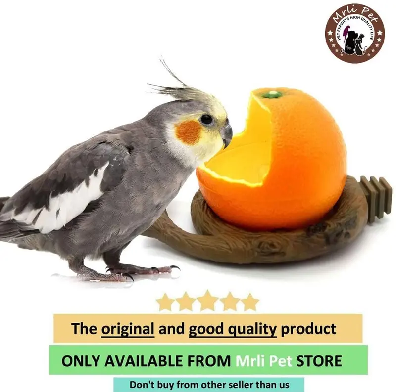 Aves Alimentador Bowl, Comida para pájaros con tazón Feed Copa para pequeños loros Cockatiels Conure hámster animal pequeño recipiente de agua potable para las Aves Jaula accesorios