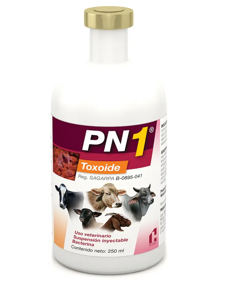 Bacterina Toxoide Chinoin PN1 Pasteurelosis Neumónica Frasco con 250 ml (50 dosis) REQUIERE TRANSPORTARSE EN FRÍO LLAME PARA COTIZAR ENVÍO