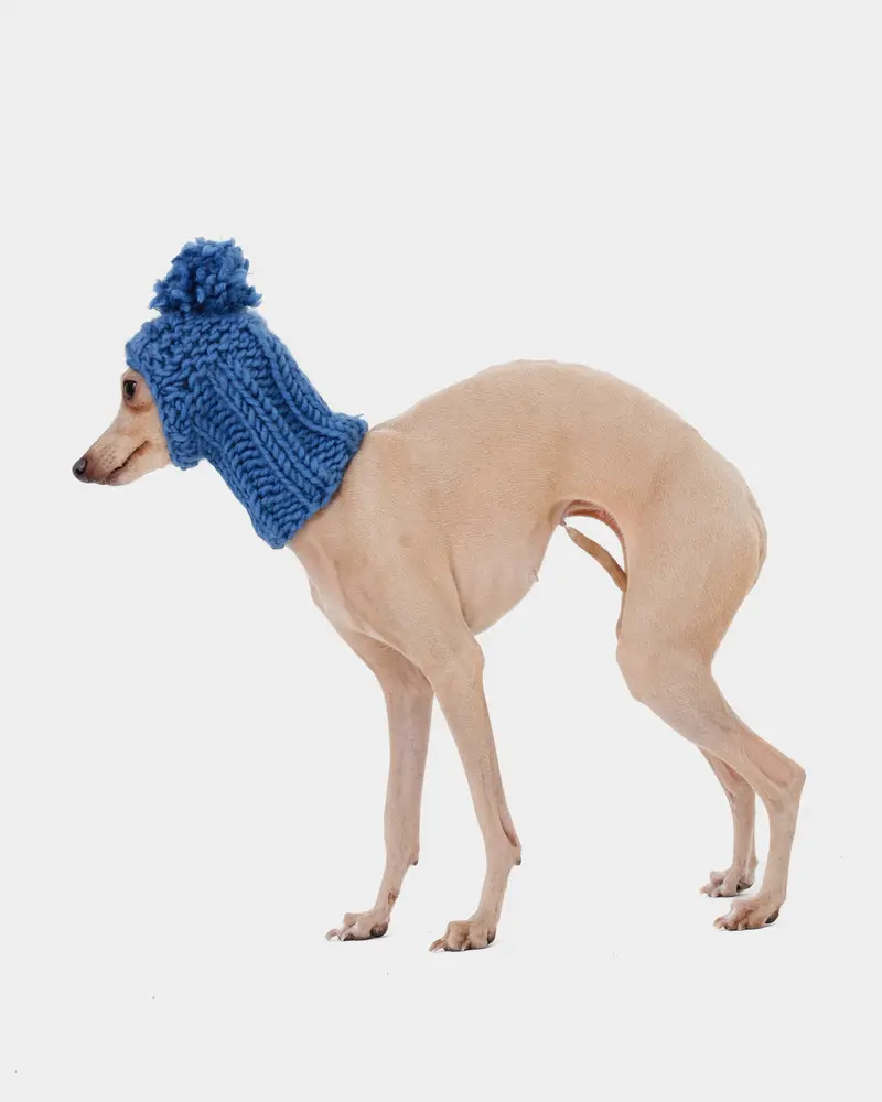 BALACLAVA PUNTO AZUL - WHIPPET (A MEDIDA)