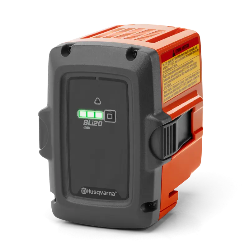 Bateria Bli20