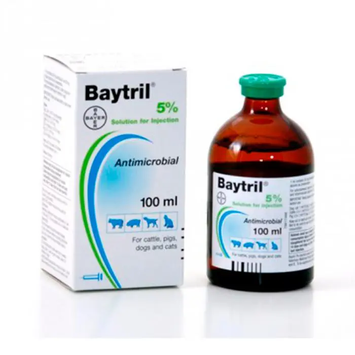 Baytril 5% Inyectable  Antibiótico