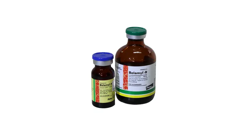 BELAMYL (COMPLEJO B)