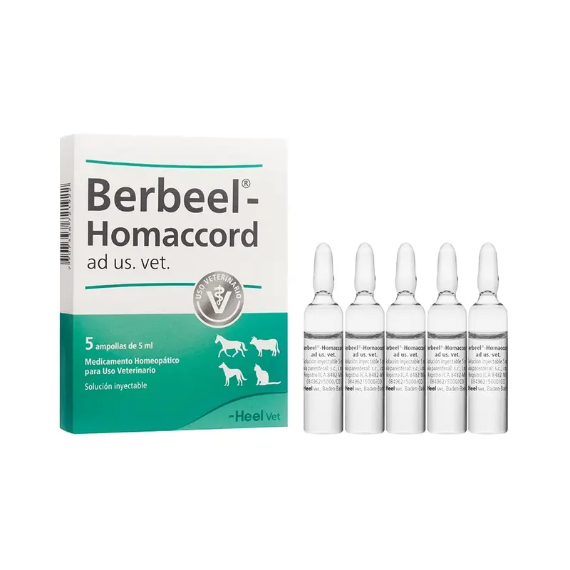 Berbeel Homaccord x Ampolla