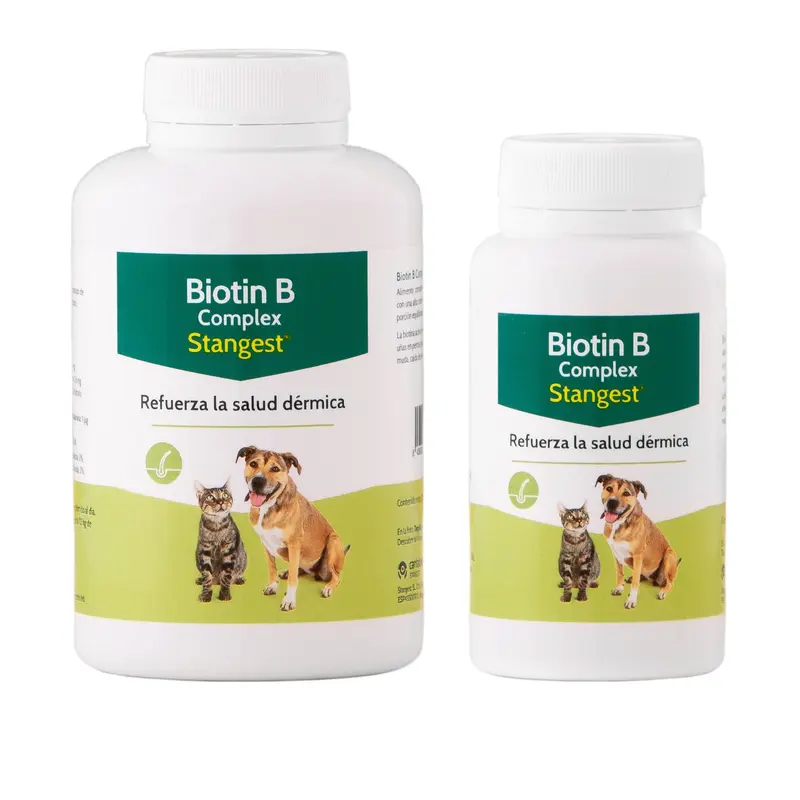 Biotin B Complex 300 Comprimidos – Biotina y Vitaminas B para Perros