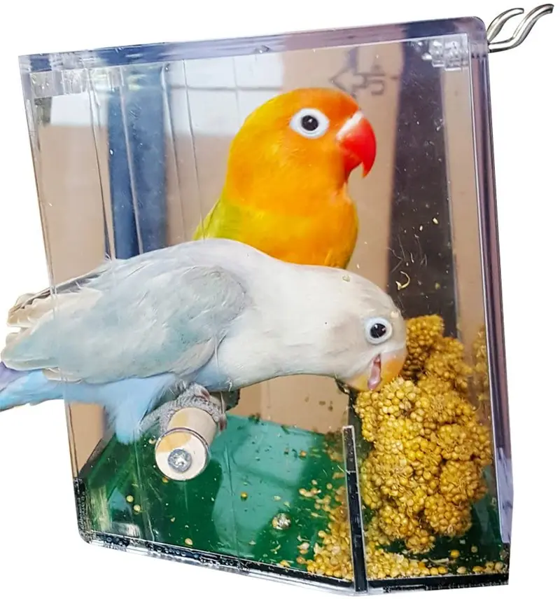 Birds Love - Comedero para pájaros
