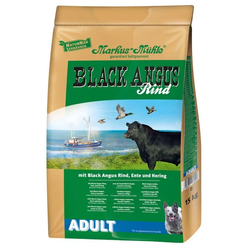 Black Angus Adulto