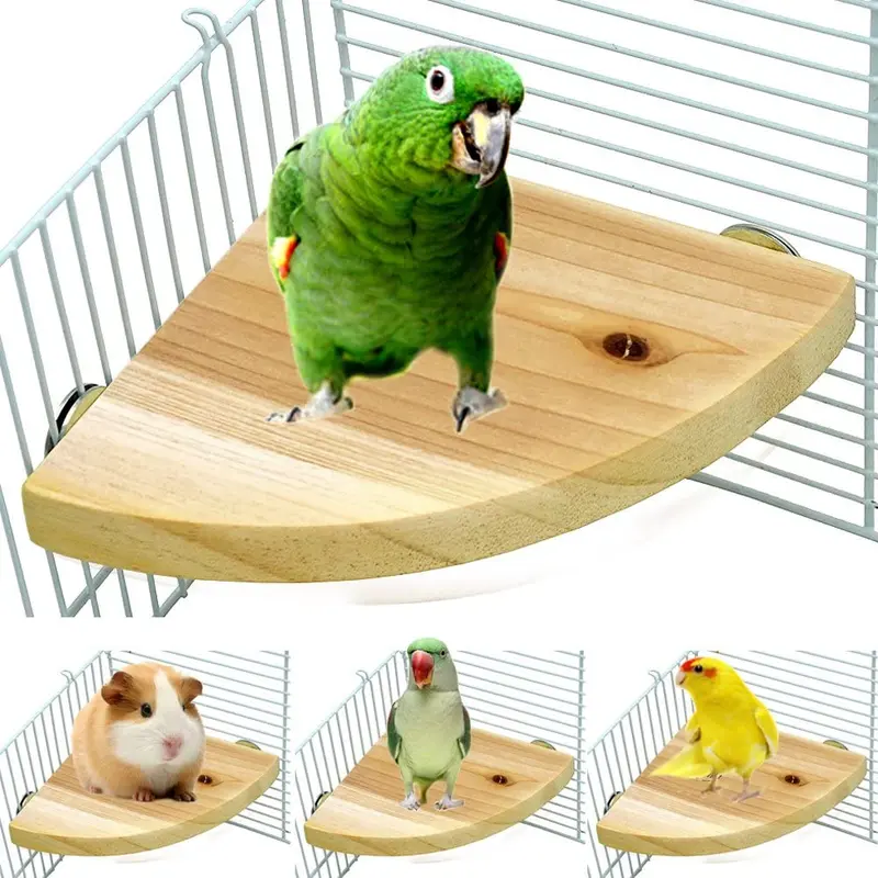 Borange - Soporte de madera para pájaros de perca, soporte de loro, jaula de juego, accesorios para pequeños ánimos, ratas, hámster, gérboles, ratas, ratones, pájaros de amor