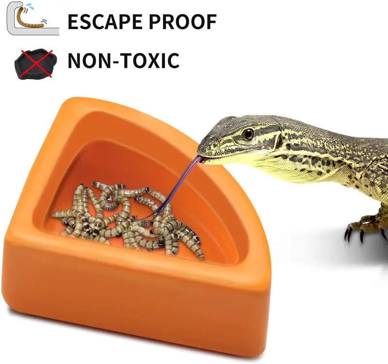 Bowls Gecko Feeding Ledge, Reptile Suction Cup Food Dish for Snakes Lizards Spiders Chameleons Corn Snakes Iguanas Reptiles
