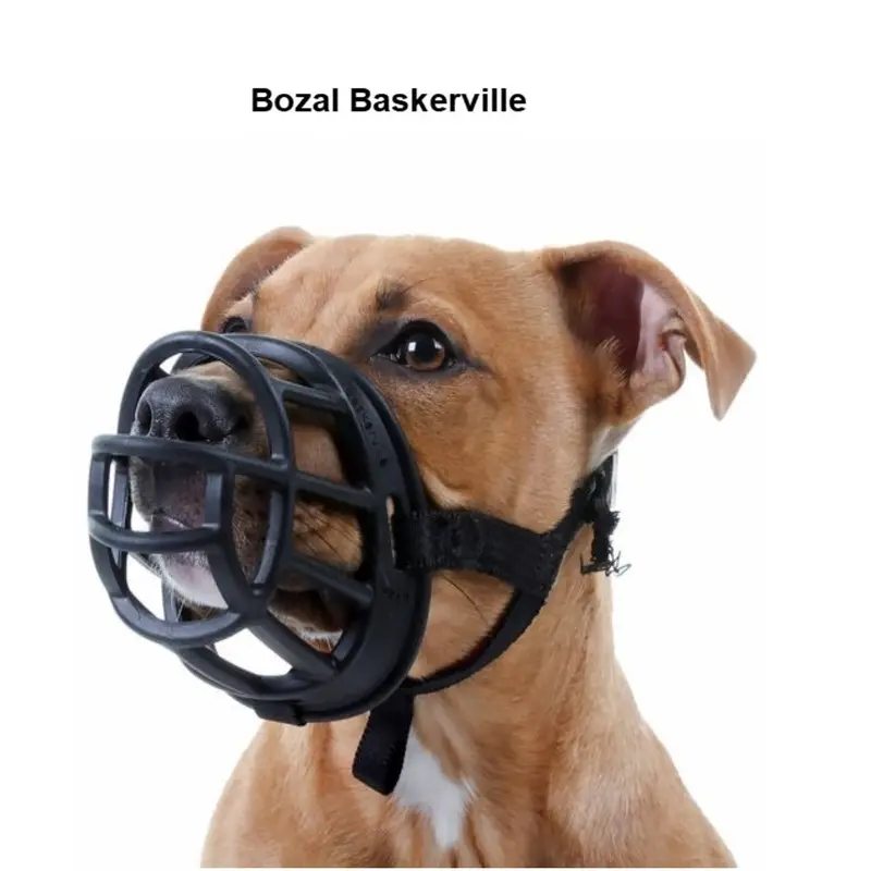 Bozal Baskerville Negro