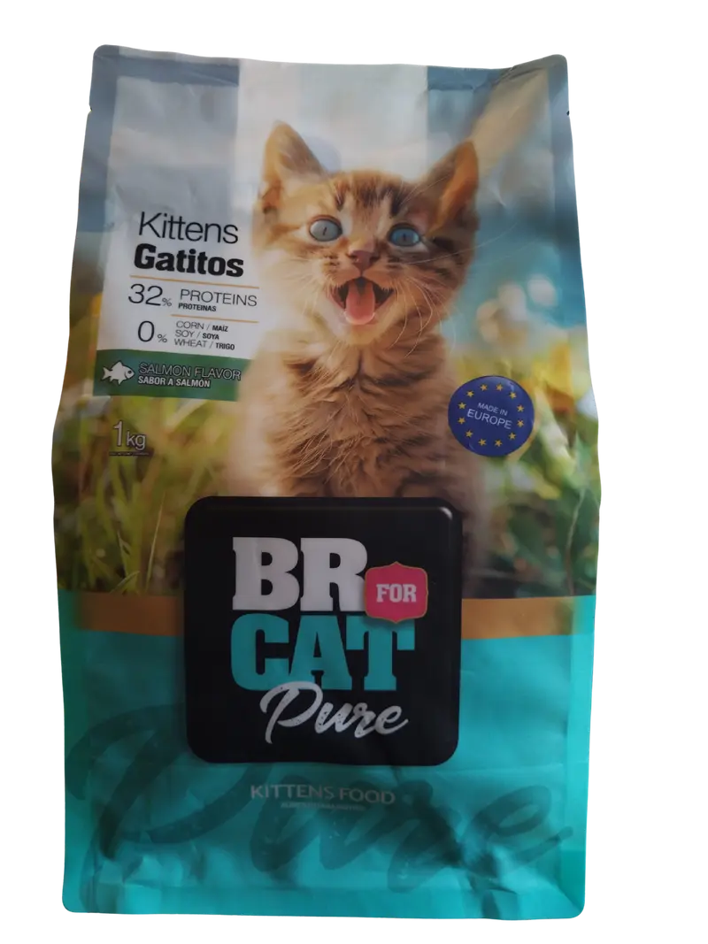 BR FOR CAT GATICOS SALMON