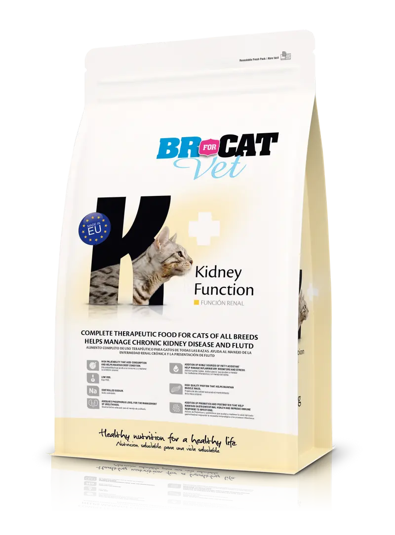 Br For Cat Vet Kidney Function