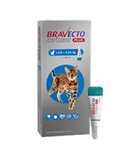 Bravecto Plus Gatos 250 mg M ( 2.8 - 6.25 kg ) Pulgas y garrapatas
