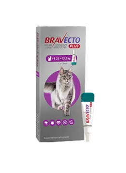 Bravecto Plus Gatos 500 mg L (6.2 - 12.5 kg ) Pulgas y garrapatas