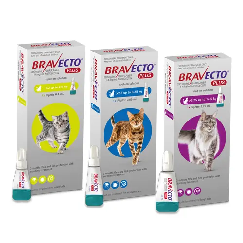 Bravecto Plus Para Gatos