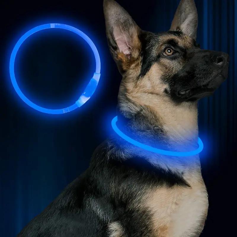 BSEEN Collar LED para perro, recargable por USB, collar brillante para perro para la seguridad nocturna, collar de moda para perros pequeños, medianos y grandes