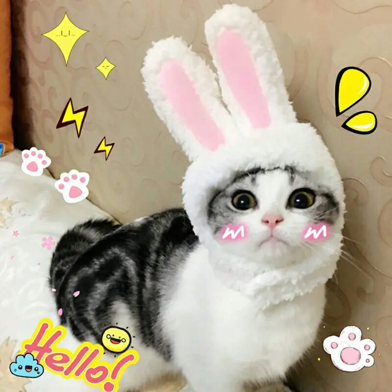 BWOGUE Bonito disfraz de conejo con orejas para gatos y perros pequeños, disfraz de fiesta para Halloween