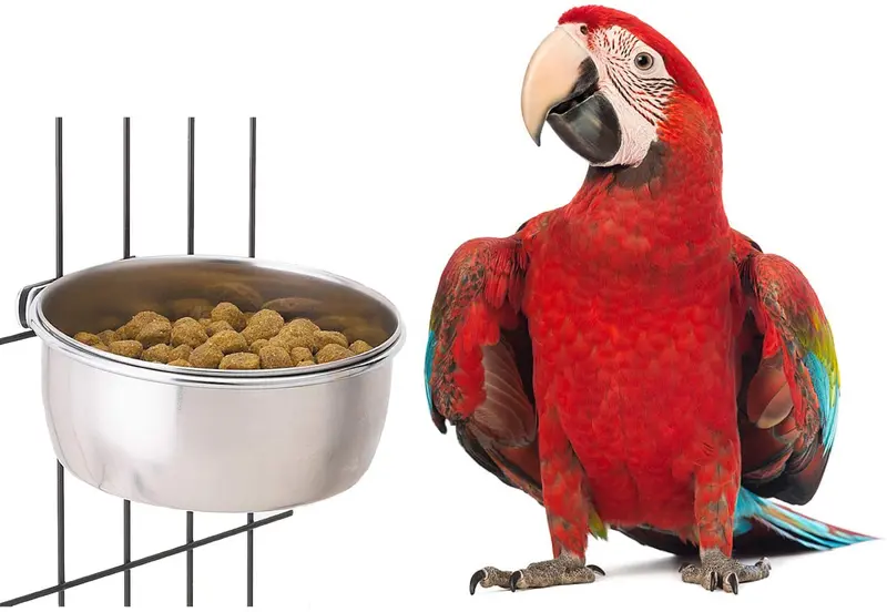 BWOGUE comedero de pájaros con abrazadera de acero inoxidable para alimentos y agua, para cacatúas, conuras, periquitos, loros, guacamayos, pequeños animales