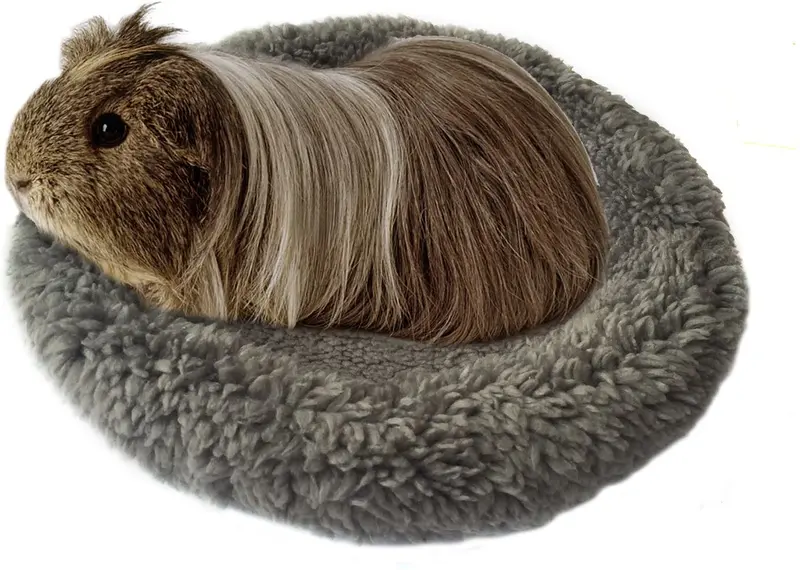 BWOGUE Hamster Bed,Round Velvet Warm Sleep Mat Pad para hámster/erizo/ardilla/ratones/ratones y otros animales pequeños