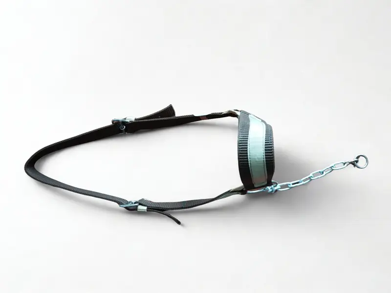Cabezal grande (cadena)