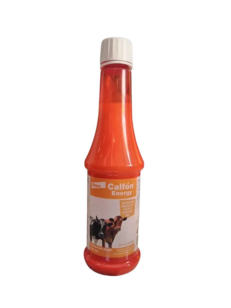 CALFON ENERGY 350 ML