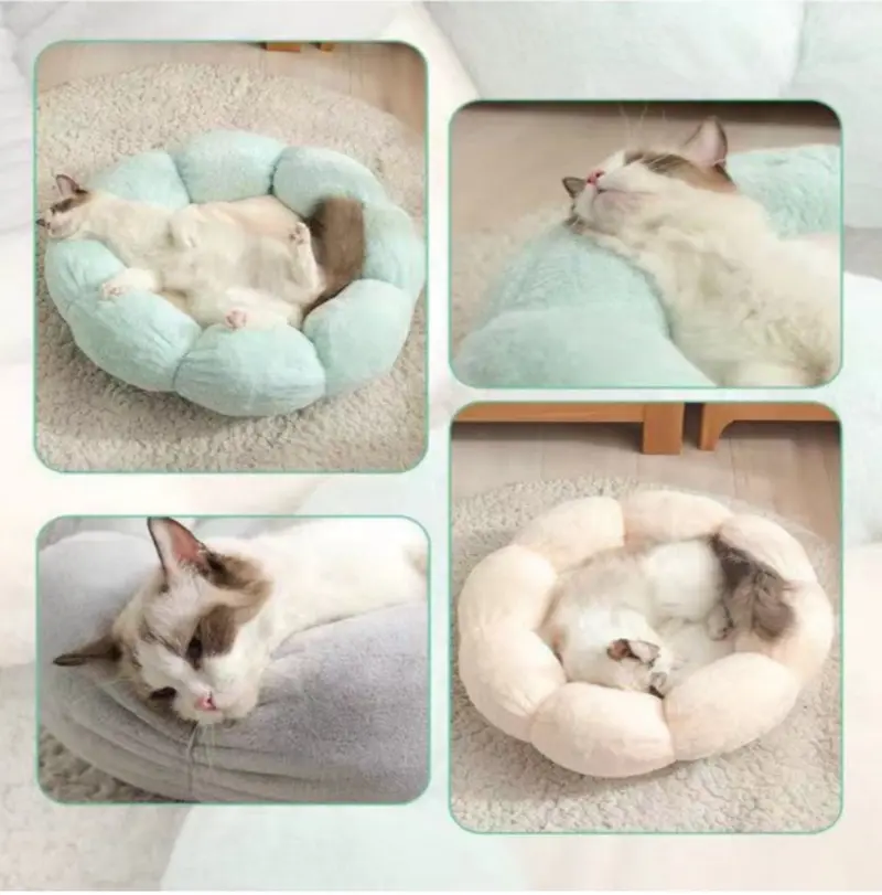 Cama Para Mascotas Dulce Flor Talla L