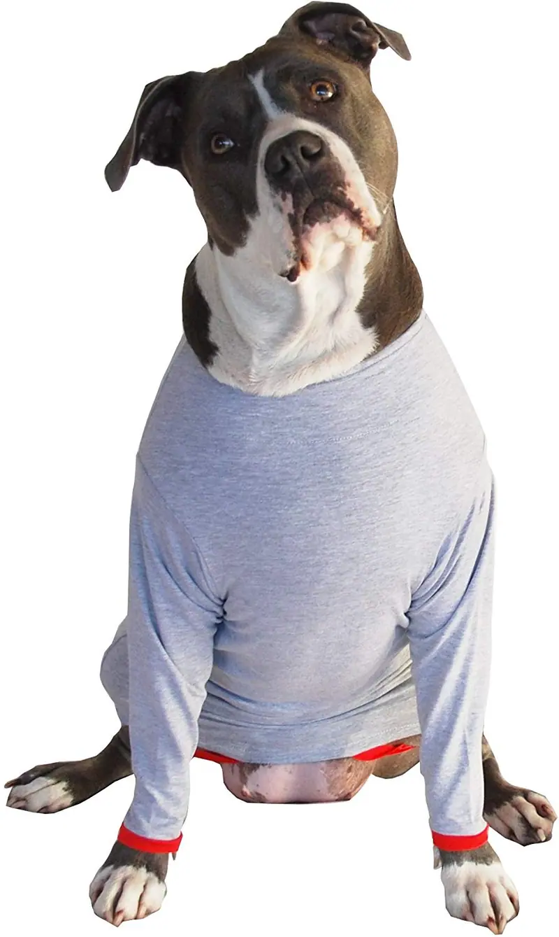 Camiseta de protección post operatoria para perros, mejor que el cono La alternativa más cómoda para recuperación.