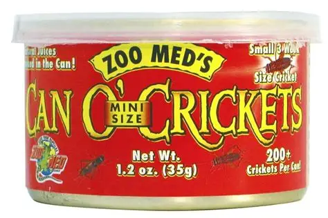 Can o crickets Grillos Mini en conserva (rojo) 35gr
