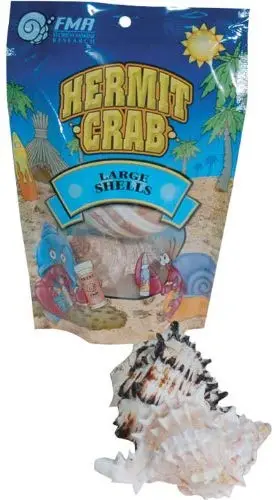 Carcasas para Hermit Crabs – Grande – 2 Pk