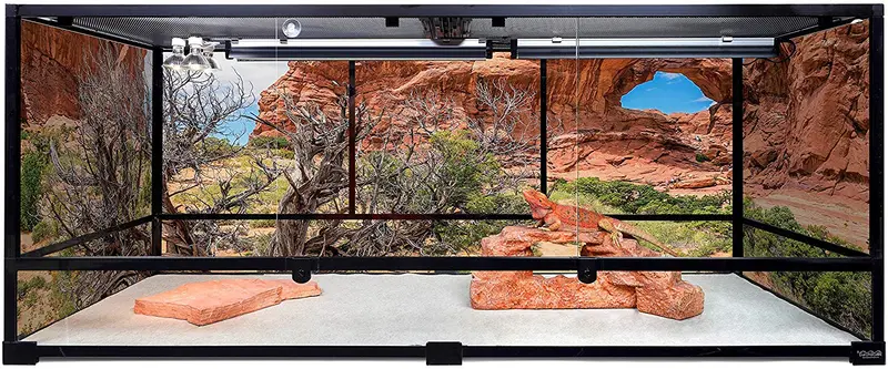 Carolina – Jaulas personalizadas de terrario, altura extralarga, profundidad de 60 x 24 x 24 h; fácil de montar, base y pantalla superior solamente, caja 1 de 2