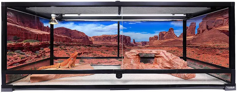 Carolina – Jaulas personalizadas terrario, extralargas, 48 x 18 x 18 h, fácil de montar