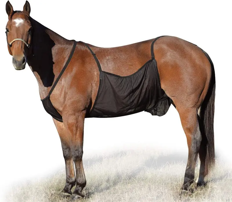 Cashel Horse Fly Sheet, Belly Guard