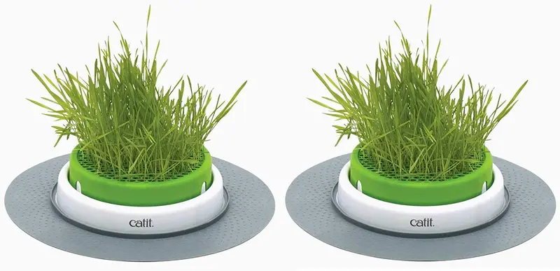 Catit - Maceta con follaje Senses 2.0