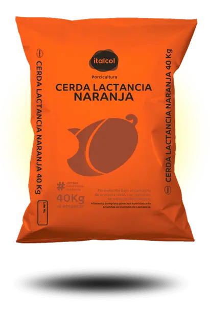 CERDA LACTANCIA NARANJA ITALCOL