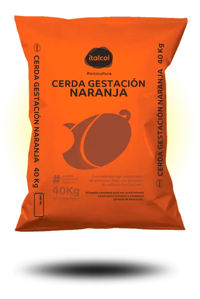 CERDAS GESTACION LINEA NARANJA ITALCOL