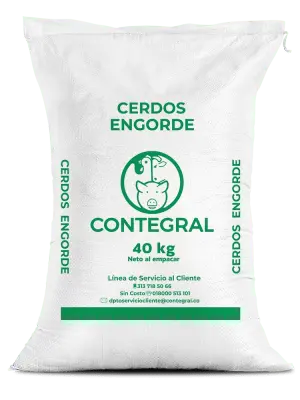 CERDO ENGORDE CONTEGRAL