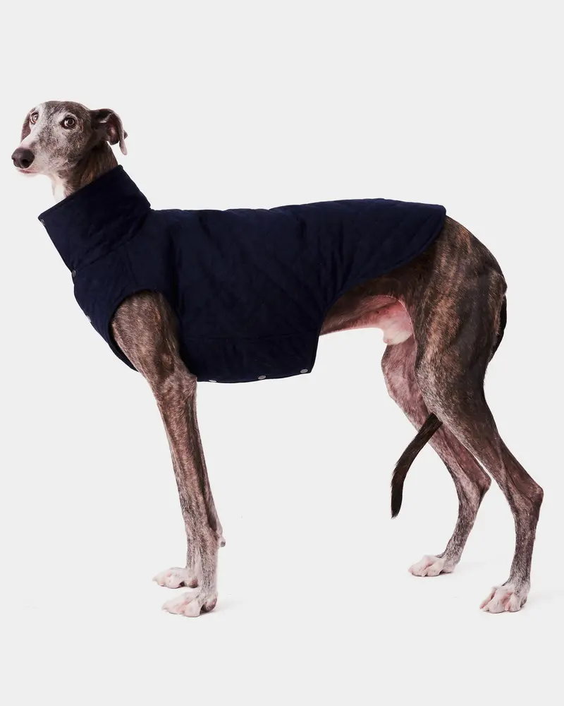 CHALECO REVERSIBLE TERCIOPELO ED. LIMITADA - GALGO (BAJO PEDIDO)