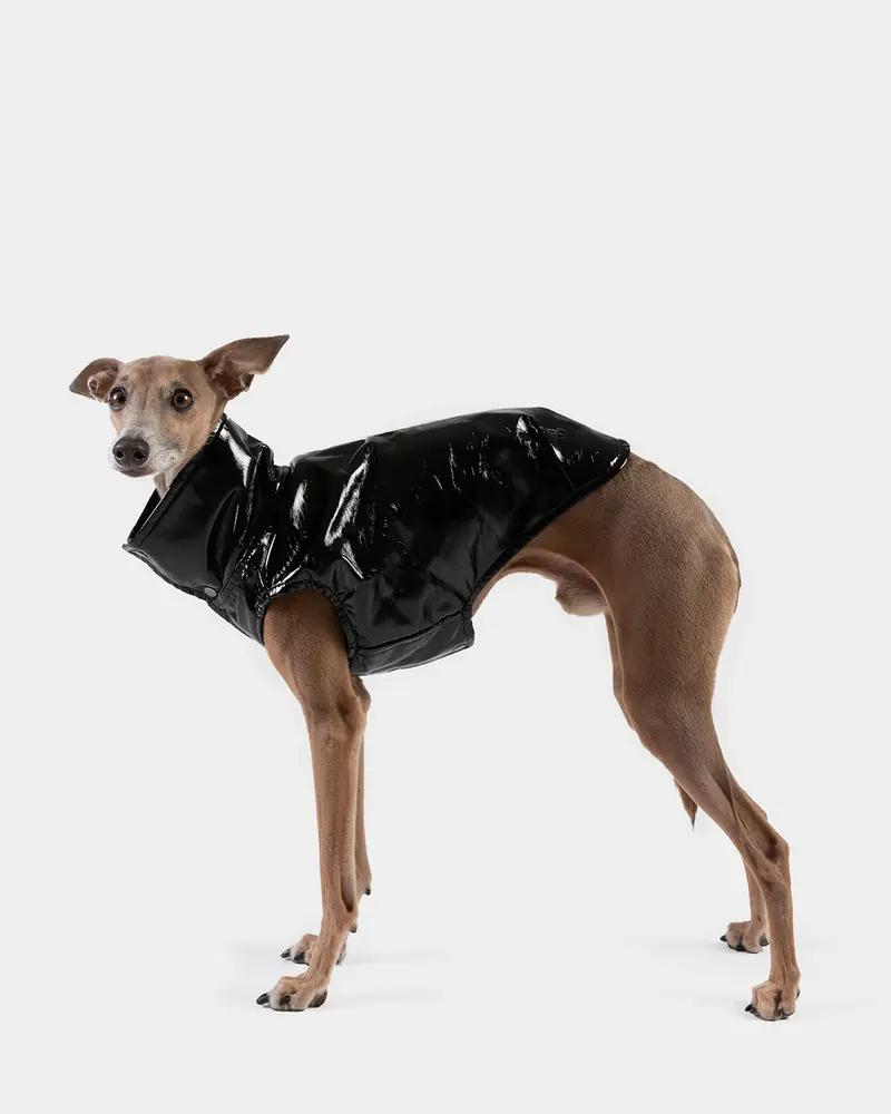 CHALECO REVERSIBLE WATERPROOF NEGRO - IGGY