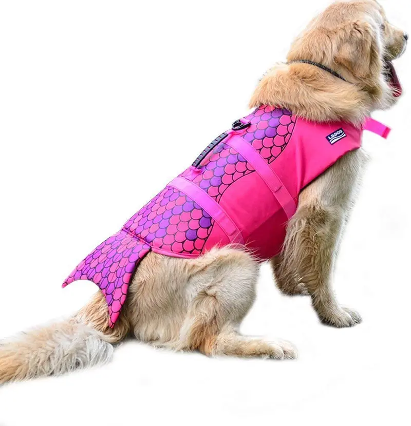 Chaleco salvavidas para perros WOpet a la moda. Chaleco salvavidas para la seguridad del perro en la playa, piscina y barcos
