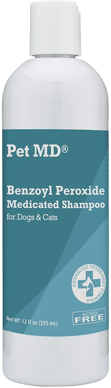 Champú medicado con peróxido de benzoilo para perros y gatos de Pet MD, eficaz para seborrea, caspa, sarna, alivio de picaduras de insectos, acné y foliculitis, aroma cítrico, de 12 onzas.