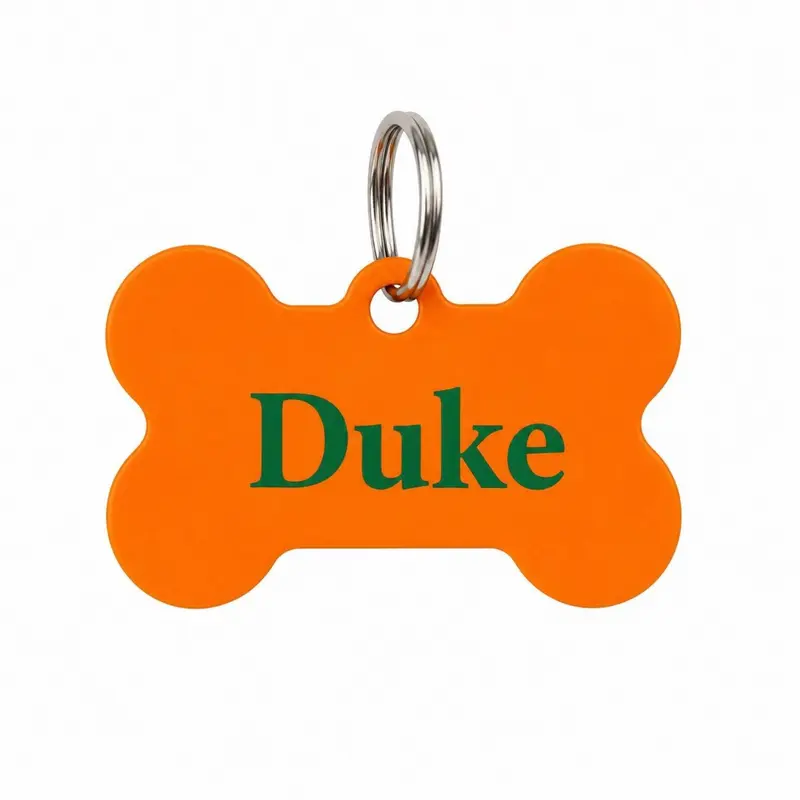 Chapa de Identificación Personalizada para perro Summer Fresh Mint