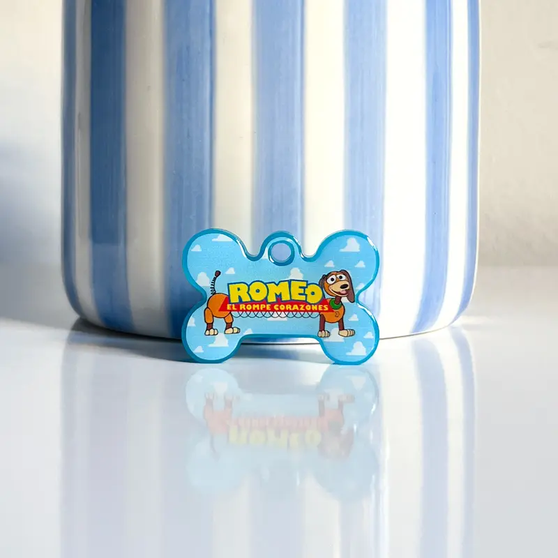 Chapa Slinky Toy Story