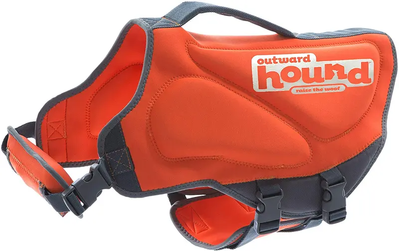 Chaqueta para perros que sean nadadores novatos o de por vida de Outward Hound Dawson.