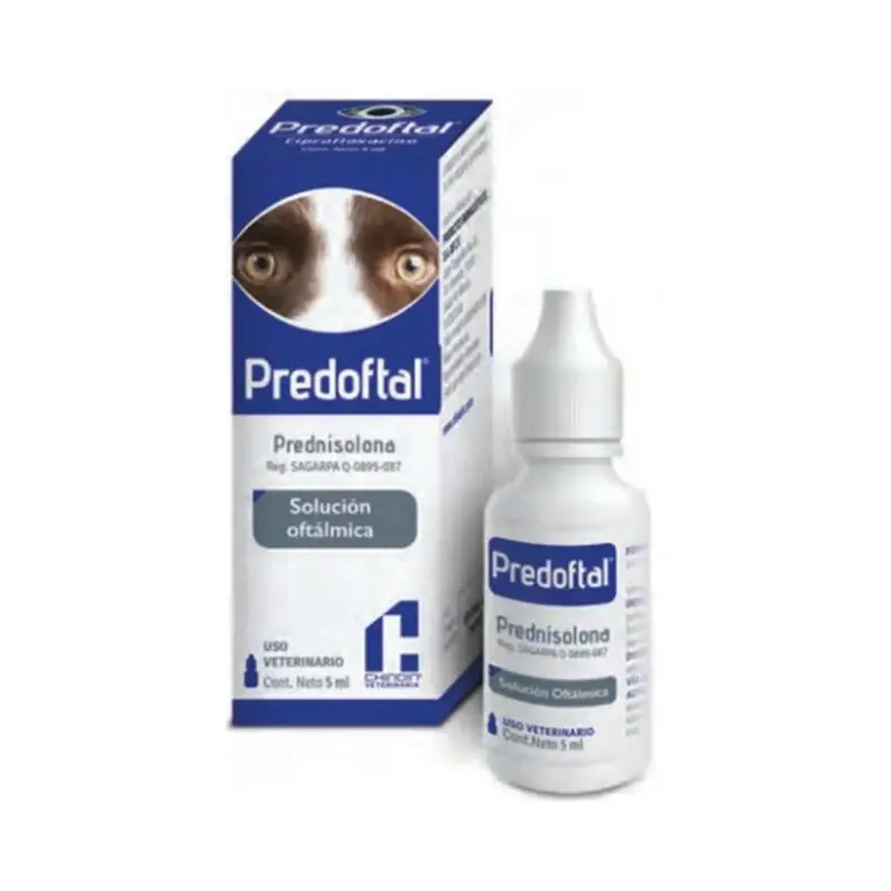 Chinoin Predoftal 5 Ml Oftalmico