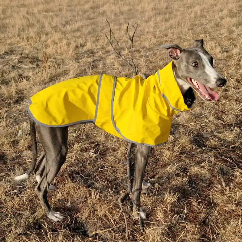Chubasquero Impermeable Reflectante para Whippet y Galgo