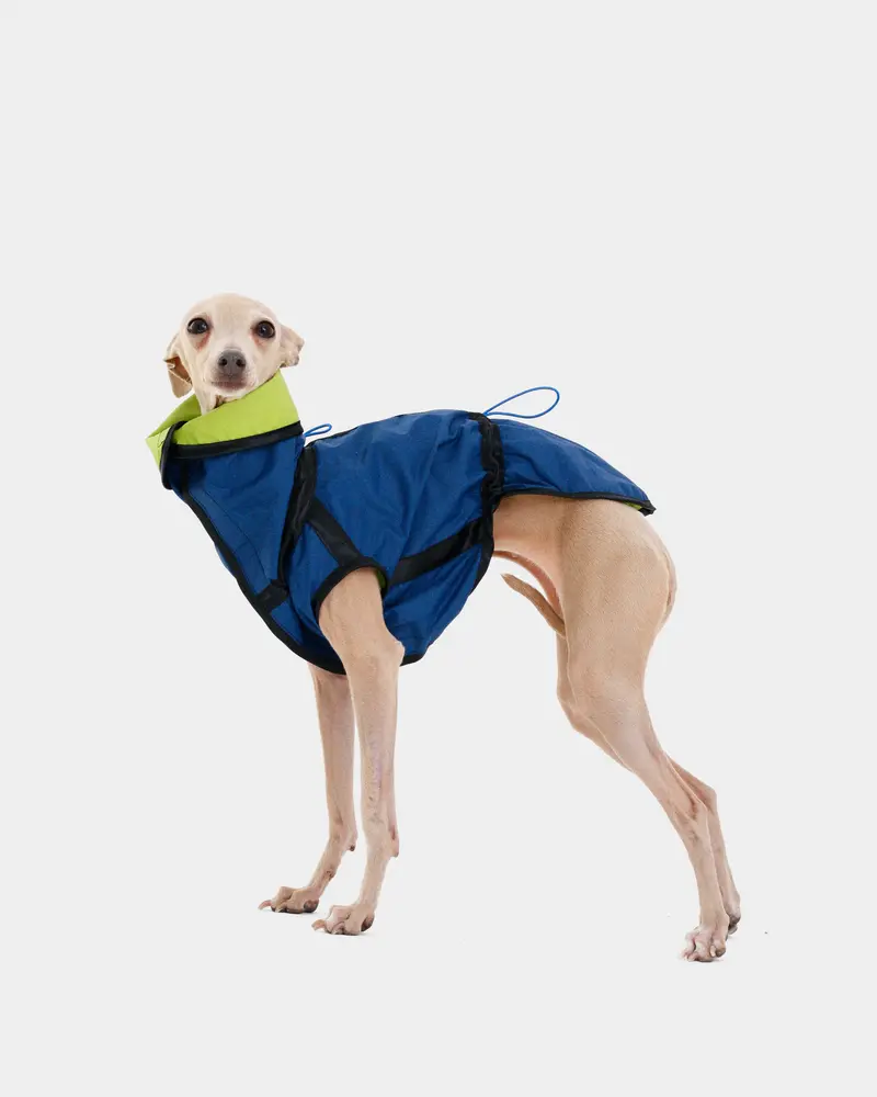 CHUBASQUERO REVERSIBLE - WHIPPET (ED. LIMITADA)