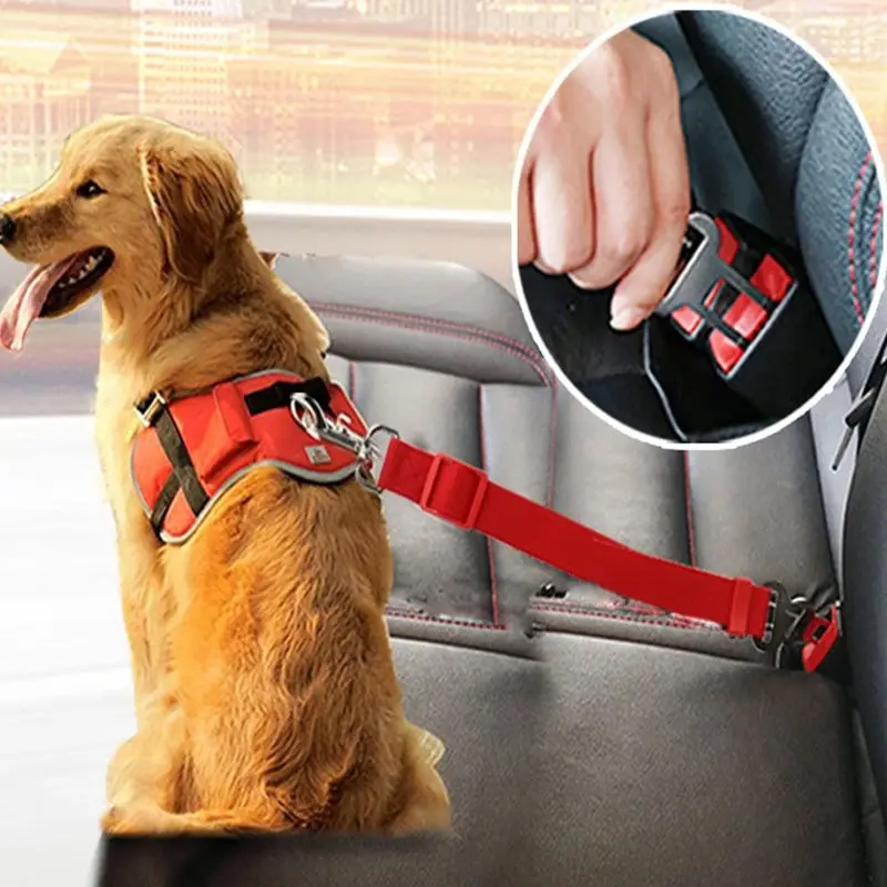 Cinturón de seguridad ajustable para mascotas en el coche – Perros y gatos