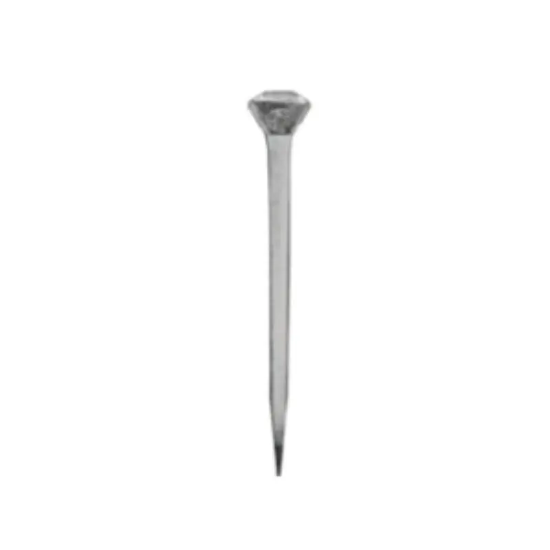 Clavo Para Herrar Derby Ch5 Sl X 150 Und